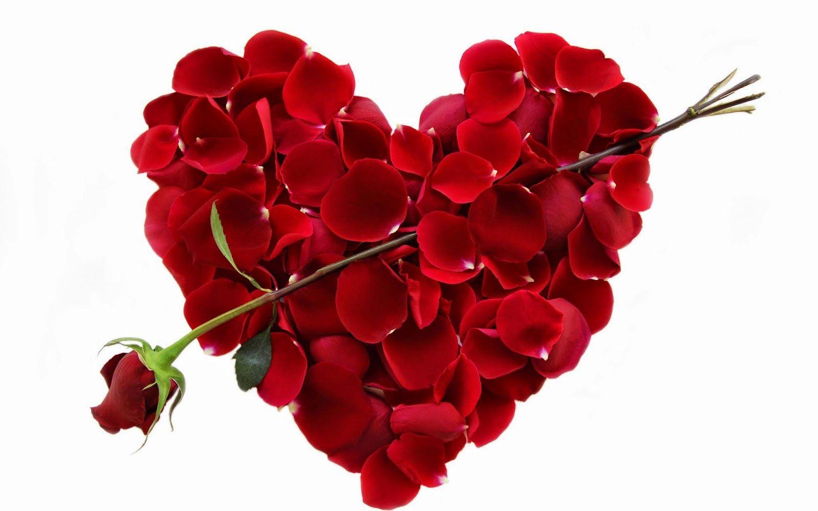 New Valentine's Day Desktop Wallpaper for 2015