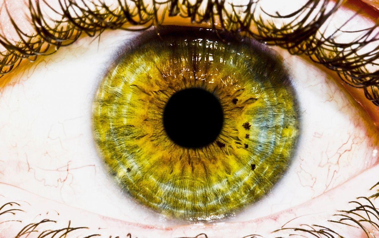 Green Eye wallpaper. Green Eye
