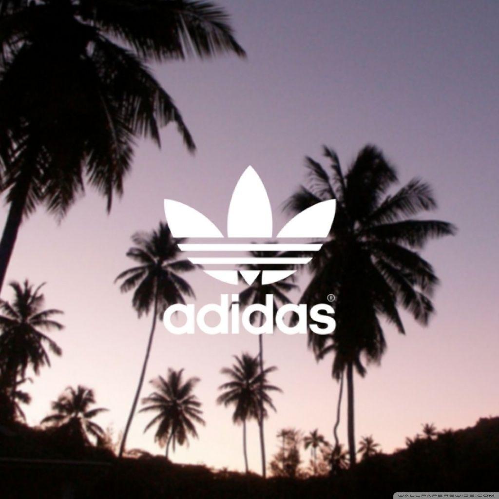 Adidas, Palm Trees Background ❤ 4K HD Desktop Wallpaper for 4K