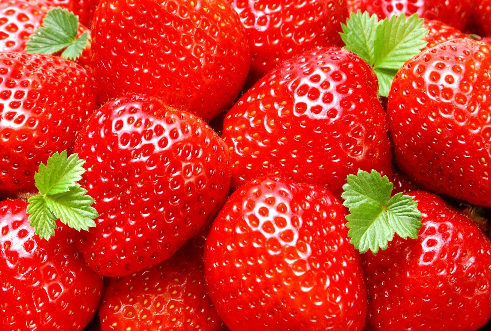 Background file. Strawberry. photo free download