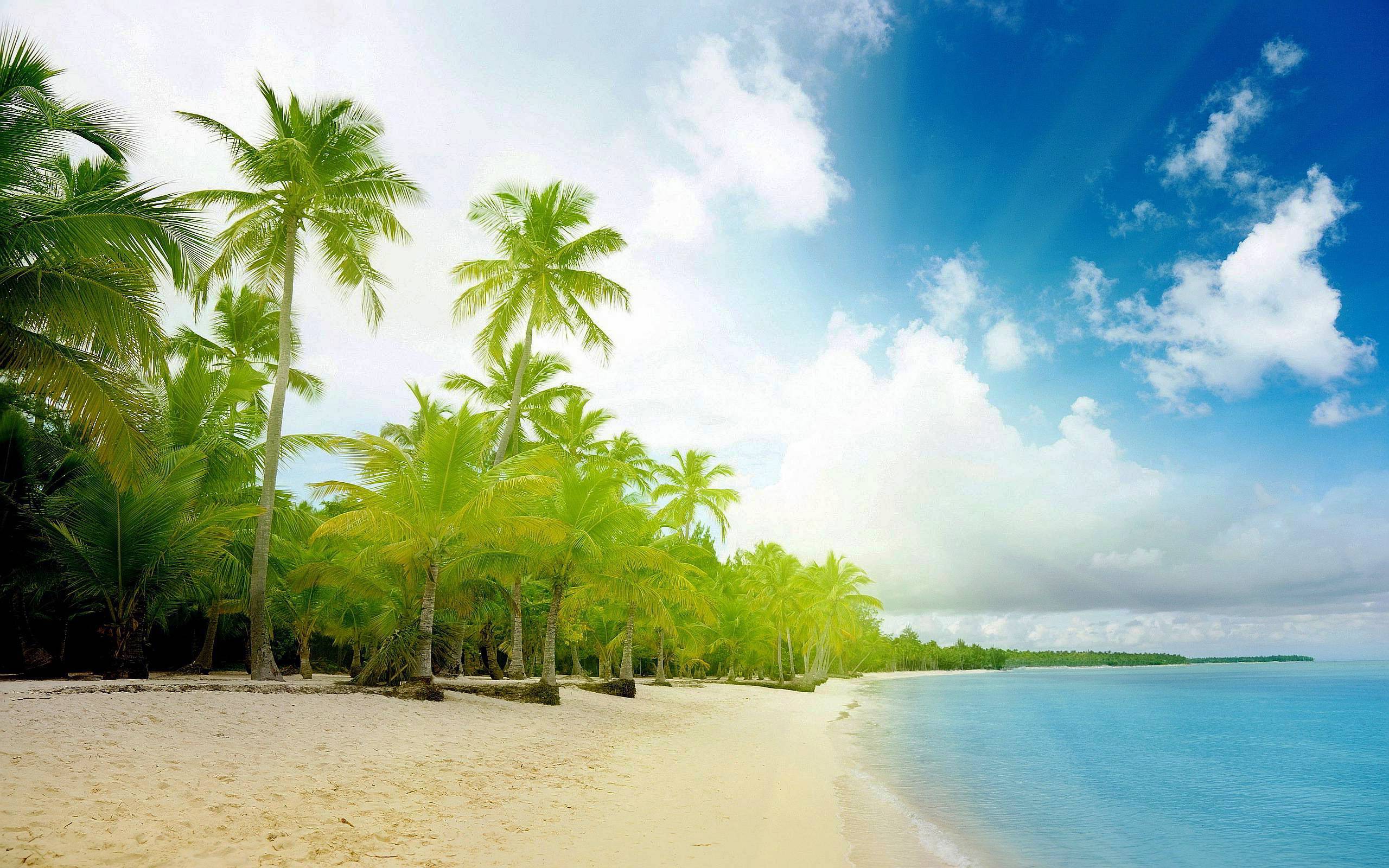 Wallpaper.wiki Desktop Download Exotic Picture PIC WPB005862