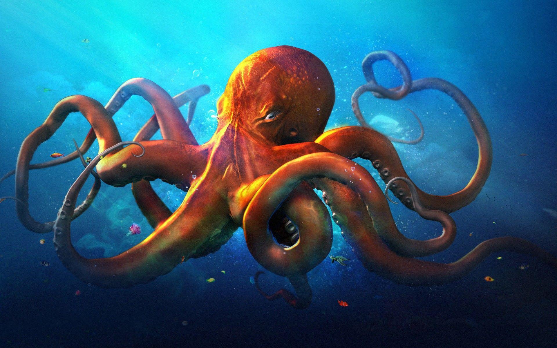 Octopus Wallpaper. Creative HD Wallpaper. animal image in 2019