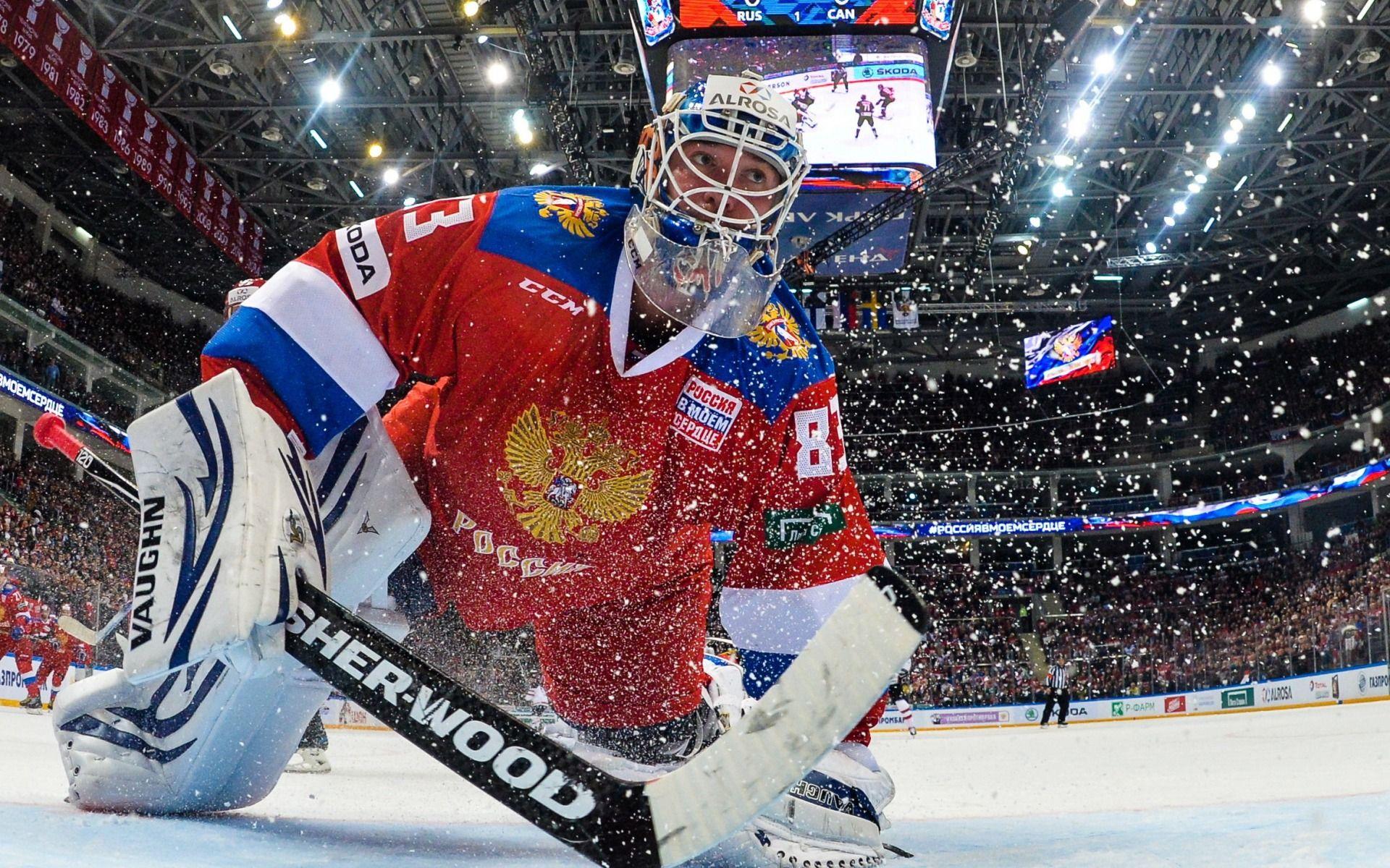 Download wallpaper Vasily Koshechkin, ice hockey goaltender