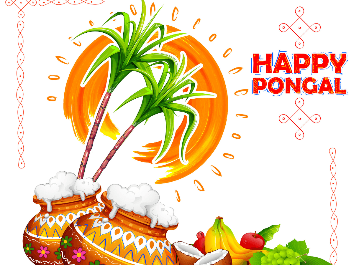 Happy Pongal 2019: Image, Wishes, Quotes, Greetings, Cards, Picture, GIFs and Wallpaper of India