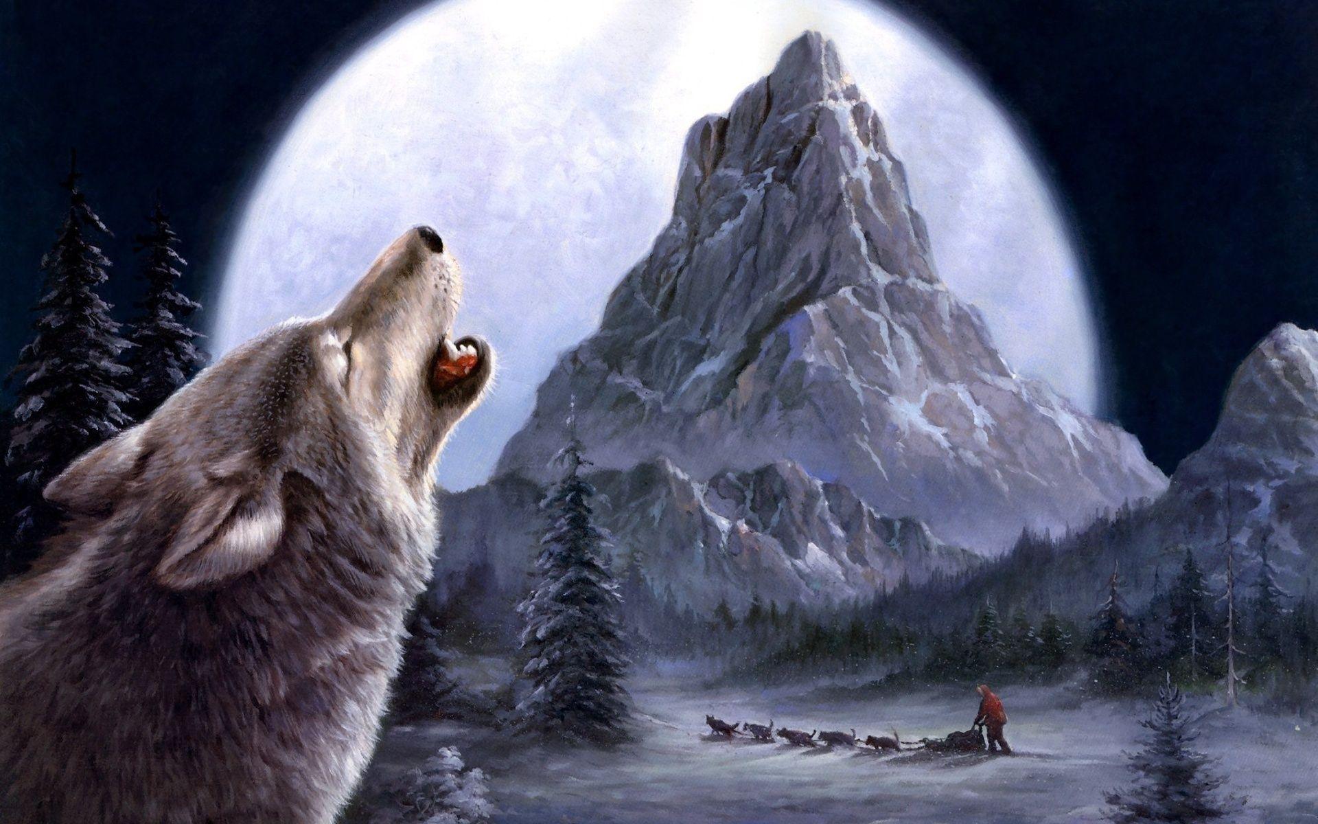 Wallpaper. Beautiful picture. sled, wolf, mountain, moon, winter