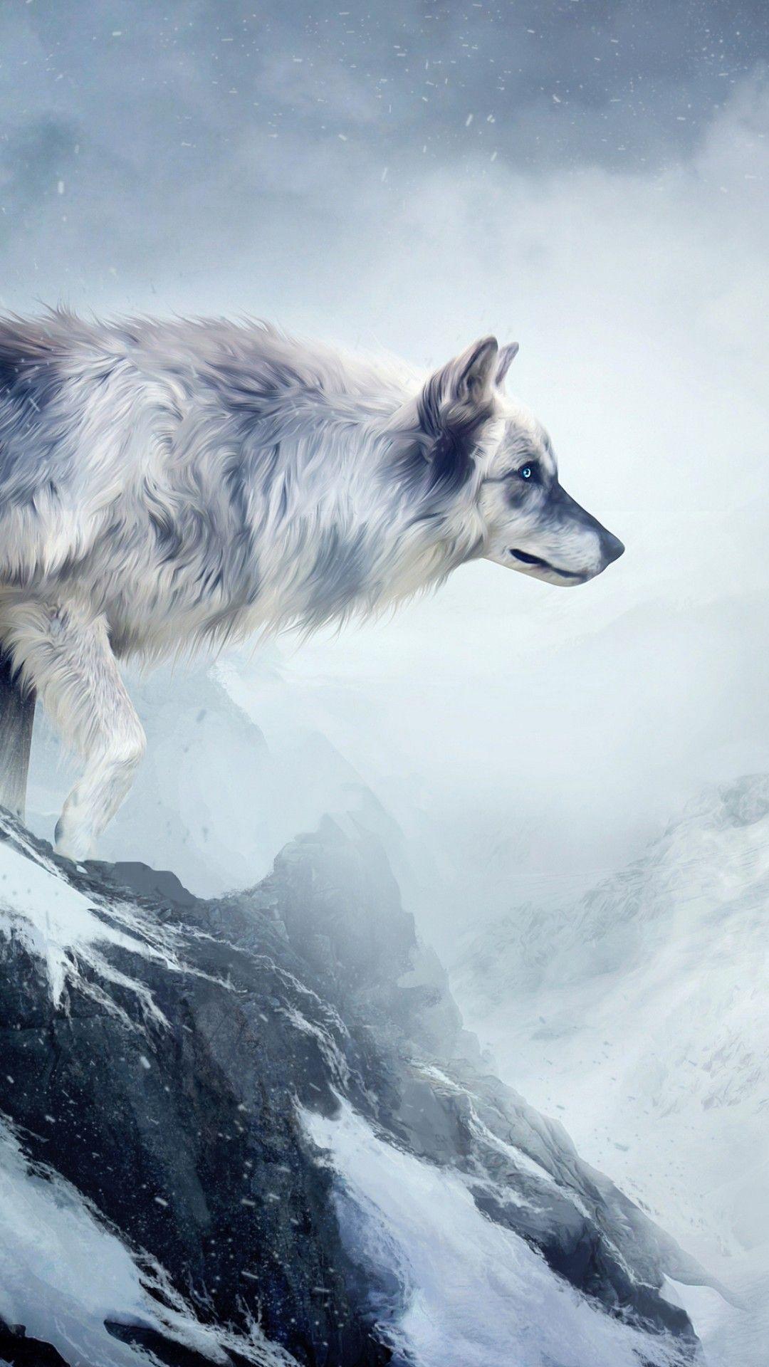 Wallpaper wolf, 4k, HD wallpaper, mountain, girl, animals, winter