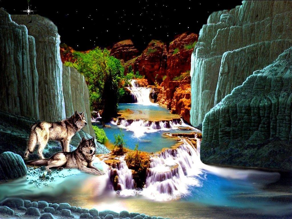 Wallpaper Tagged With Wolves: Wolves Color Lagoon Wolf Nature