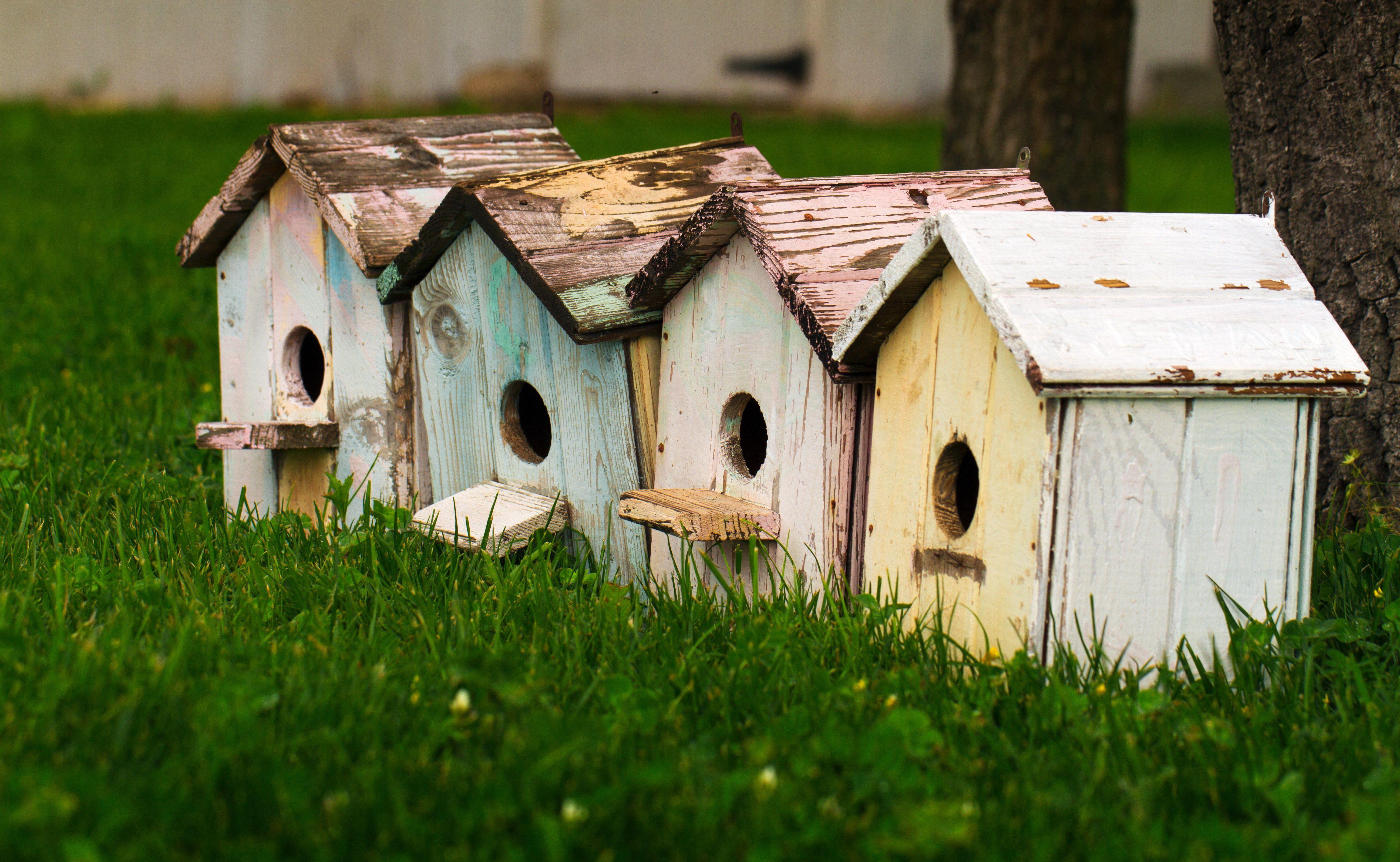 Birdhouse Wallpapers - Wallpaper Cave