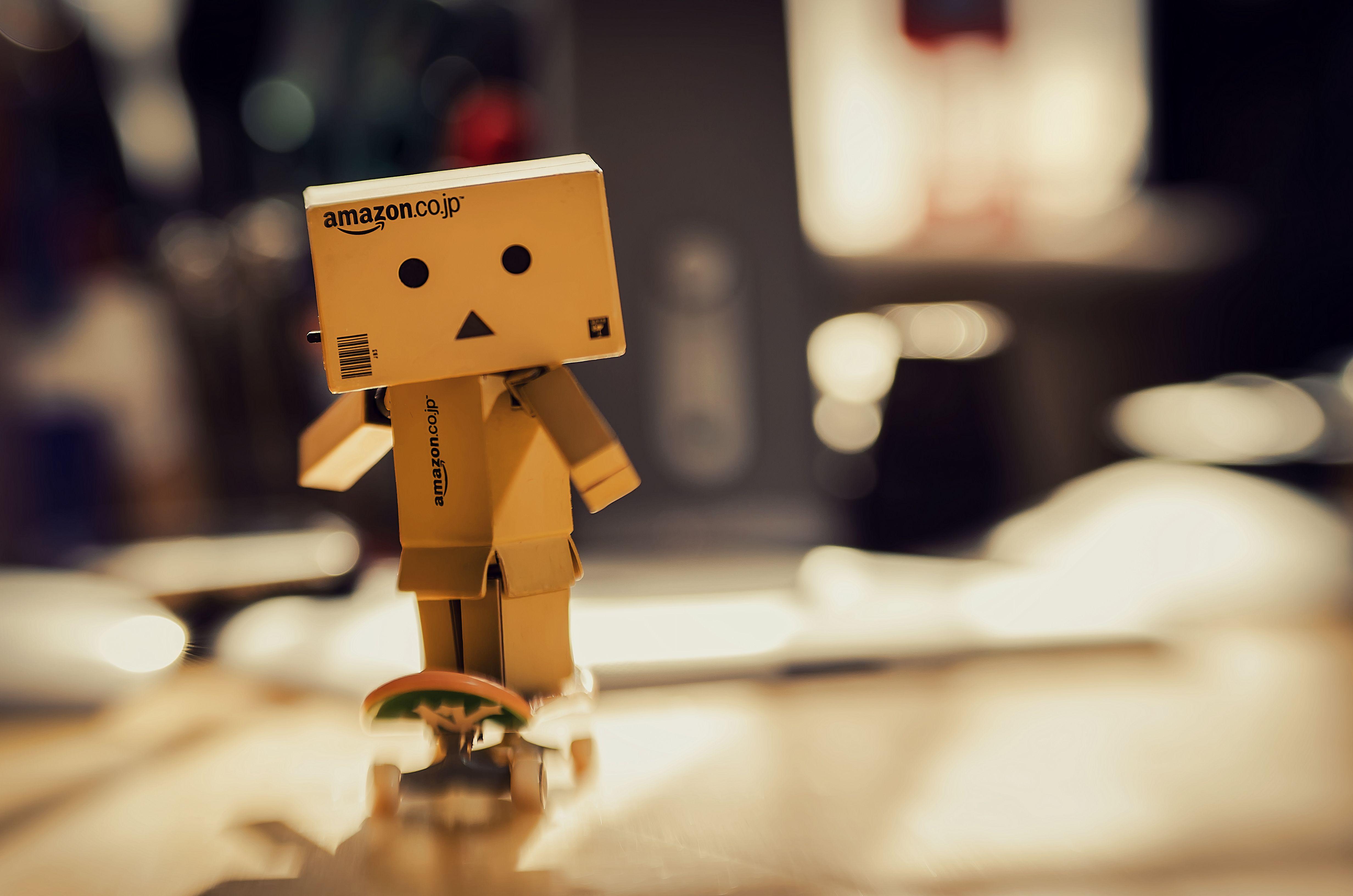 Danbo Cardboard Robot Skateboard , Image