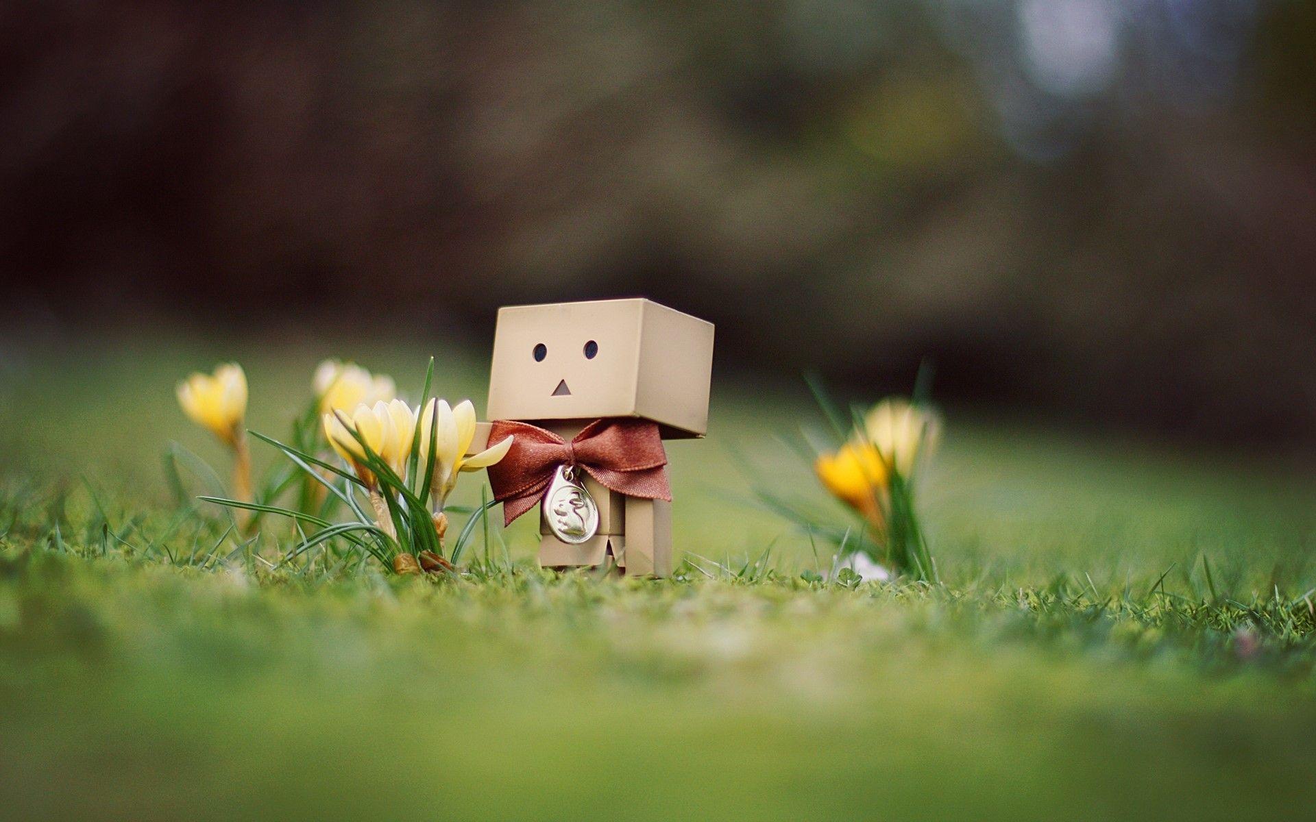 Danboard, Cardboard robot, Flowers, Grass, Bow wallpaper and background