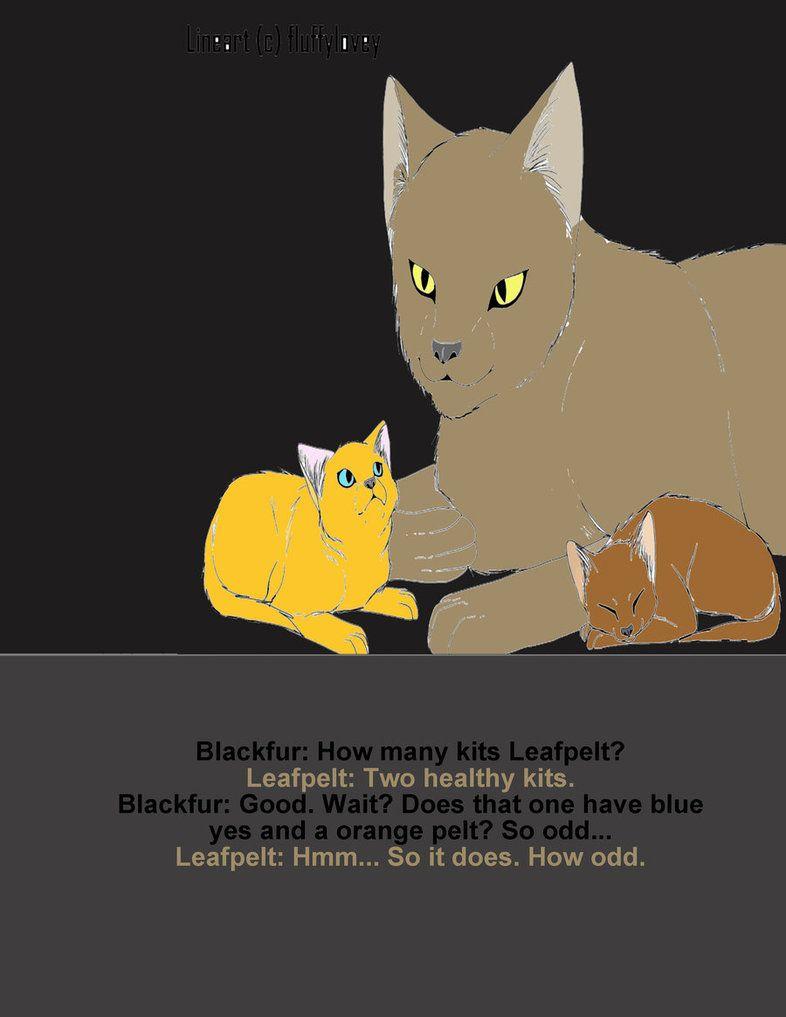Untold tales warrior cats for care!
