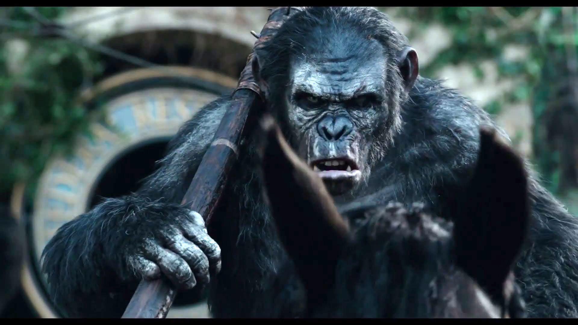 Dawn of the Planet of the Apes Wallpaper 20 X 1080