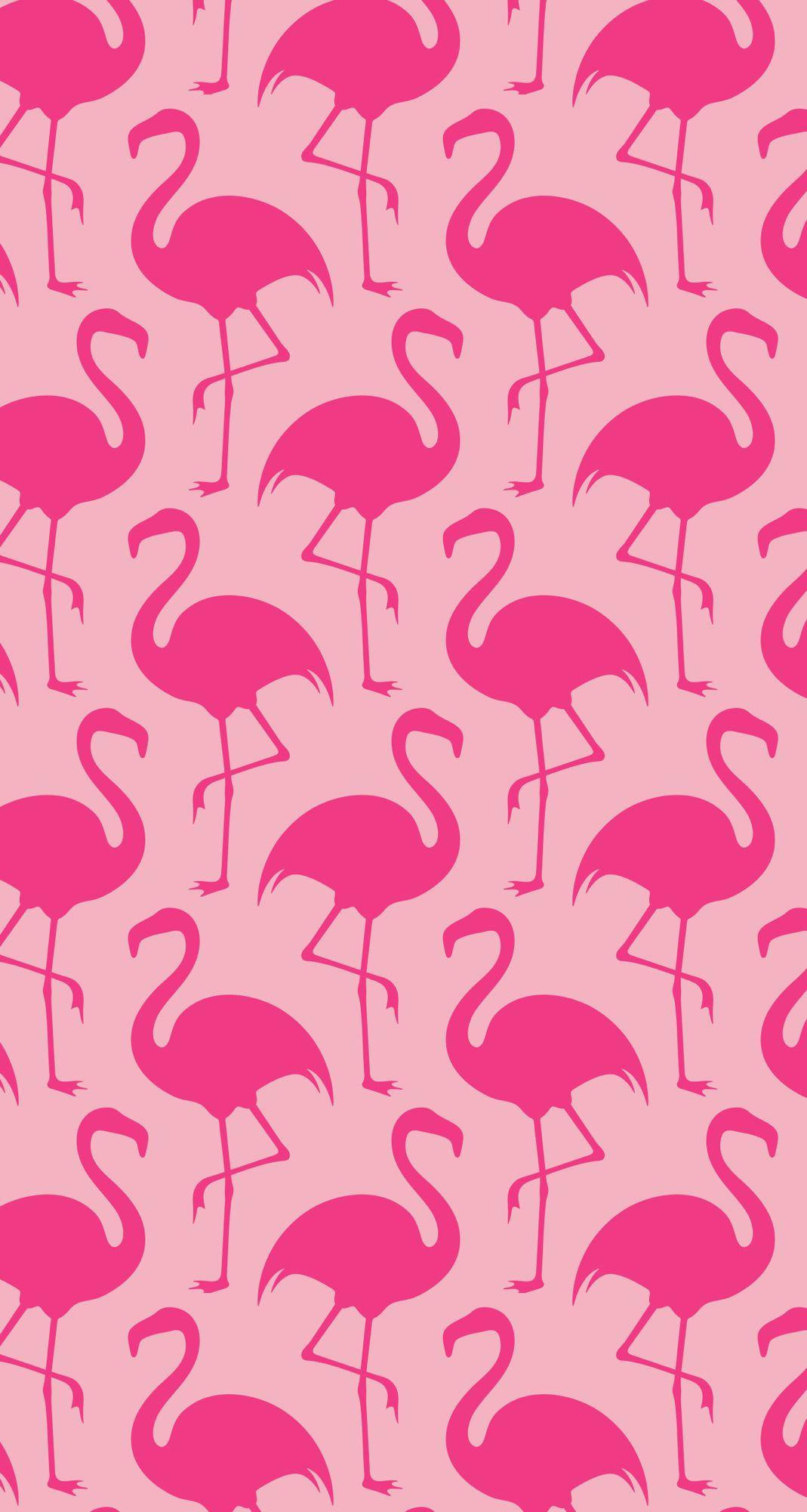 Pink on pink flamingos. Wallpaper. Wallpaper, iPhone wallpaper