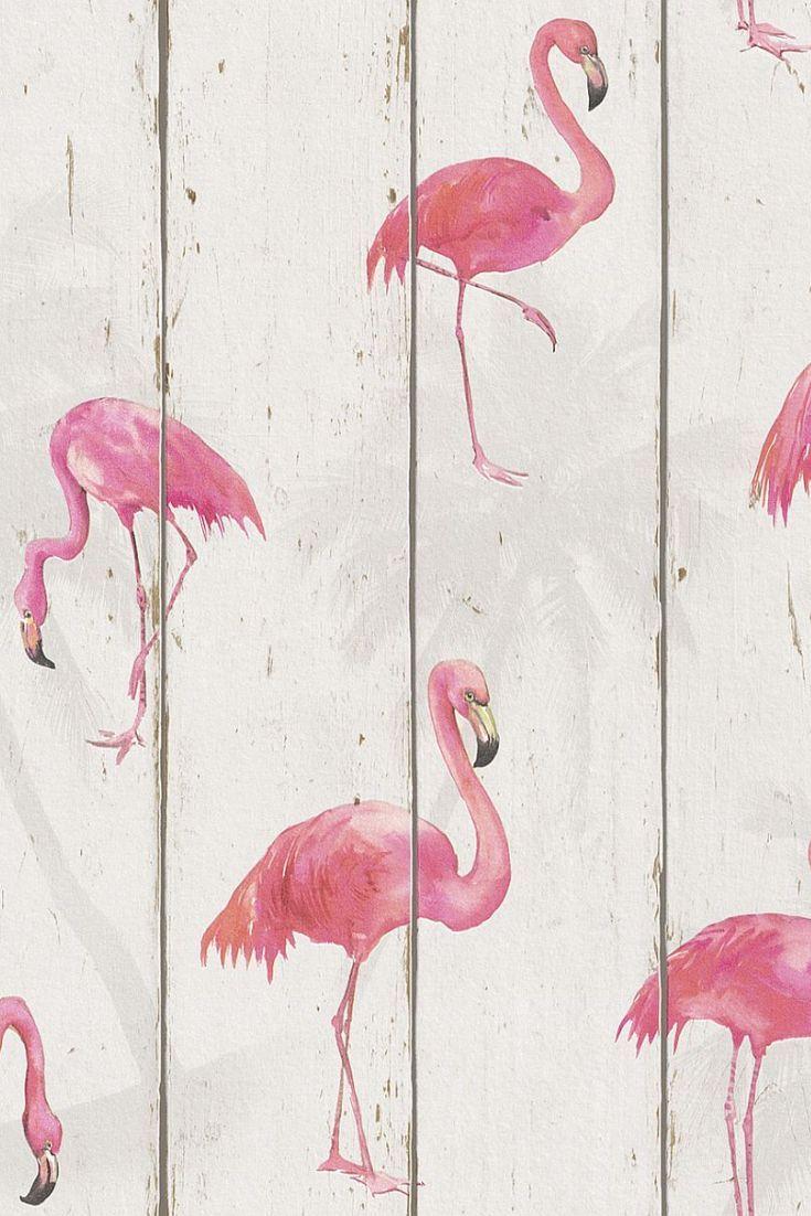 Flamingo on Wood, Wallpaper, 479720. LuLaRoe. Wallpaper