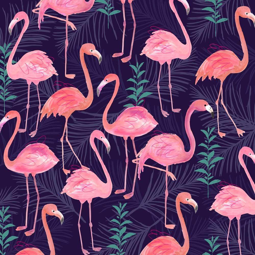 flamingo print. colors / patterns / prints. Flamingo, Flamingo