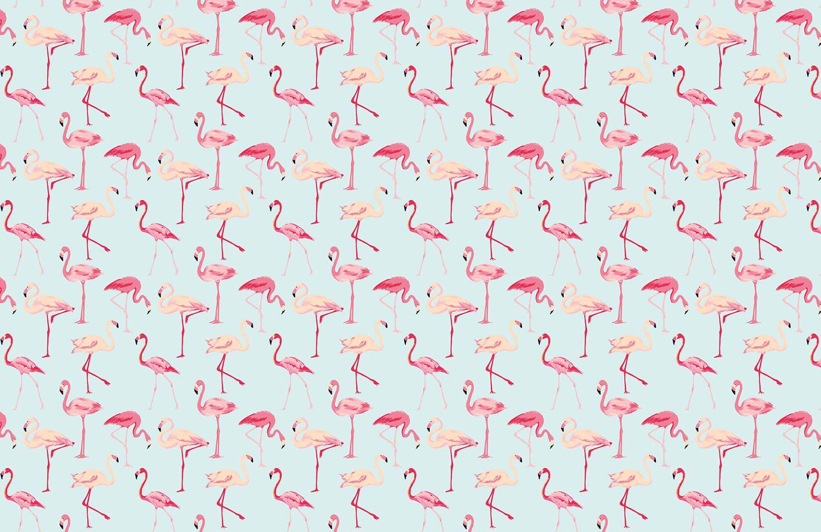 Pink Flamingo Wallpaper Mural