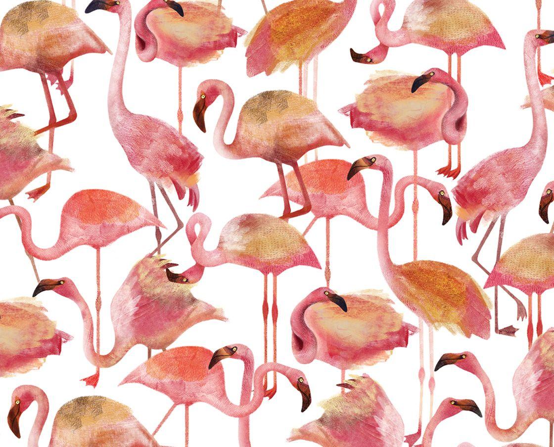 WALLPAPER flamingo pink