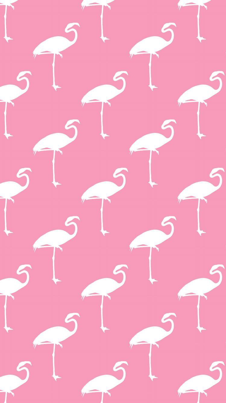 Pink flamingos iPhone wallpaper. wallpaper ❃. iPhone wallpaper