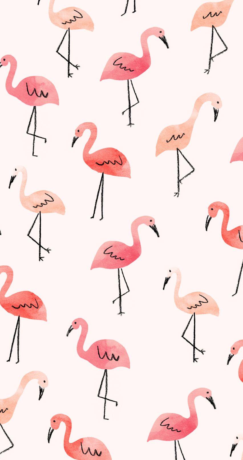 pink flamingo wallpaper for phone