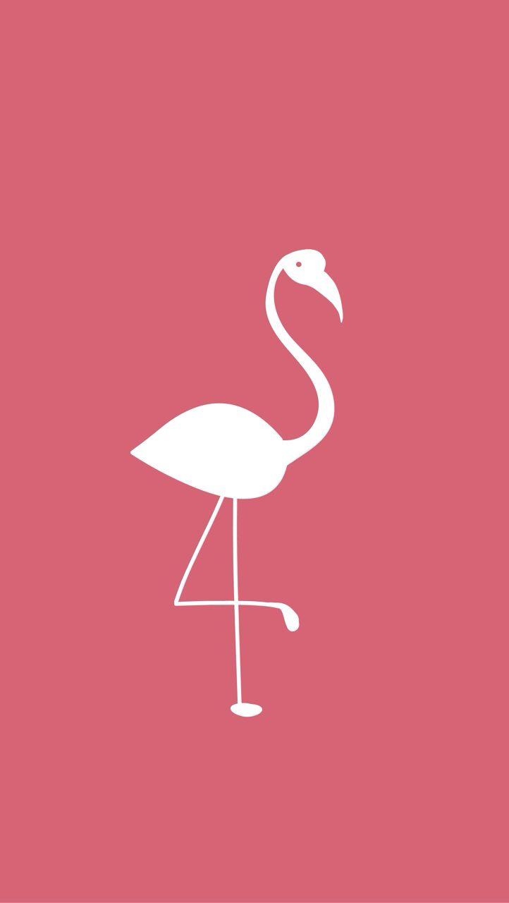 Pink Animal Flamingos Wallpaper HD