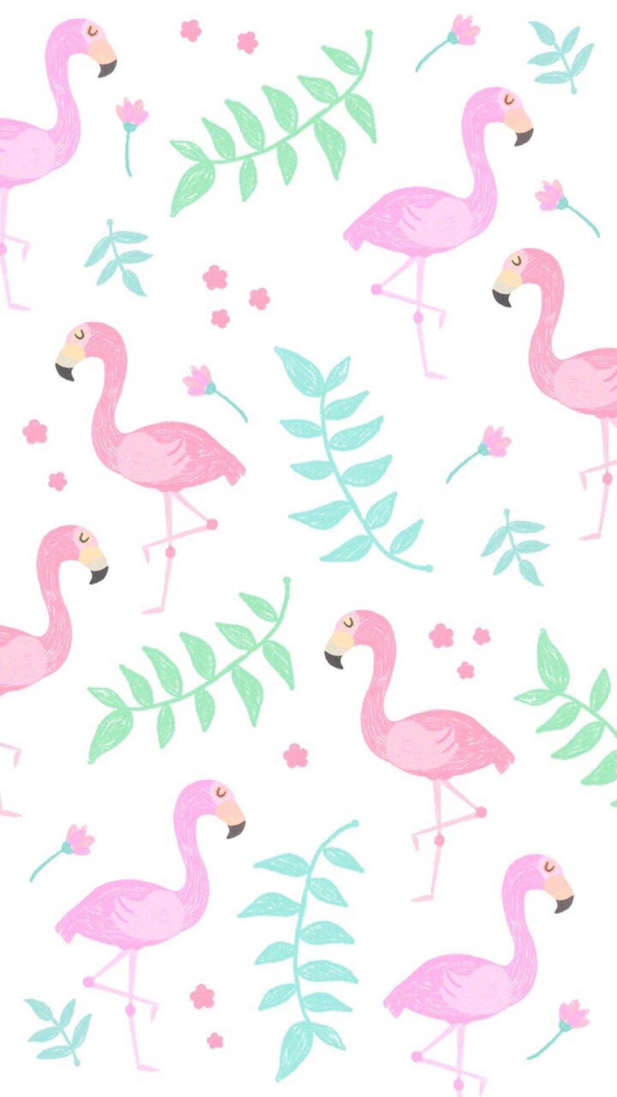 pink flamingo wallpaper for phone