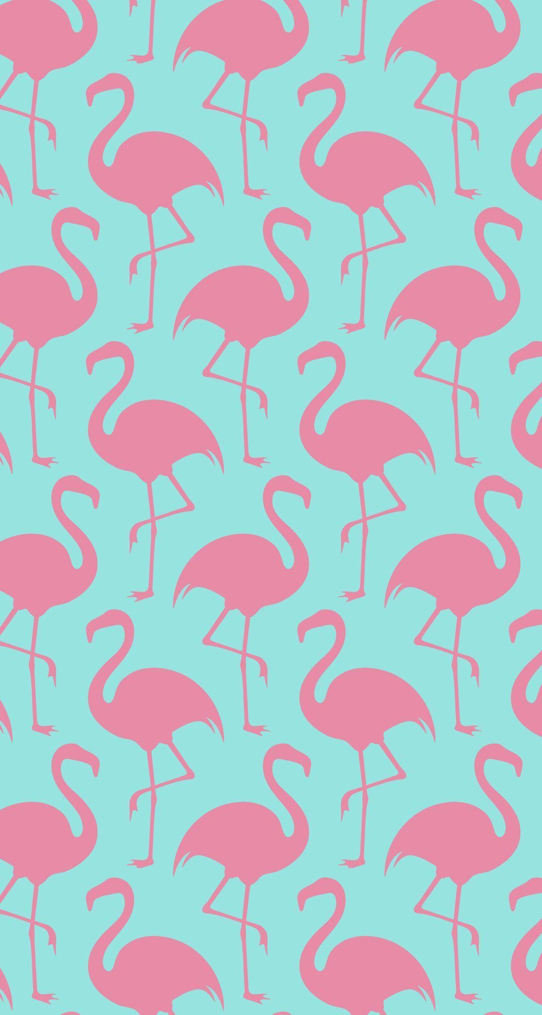 Pink flamingos on a green background. Background. Flamingo