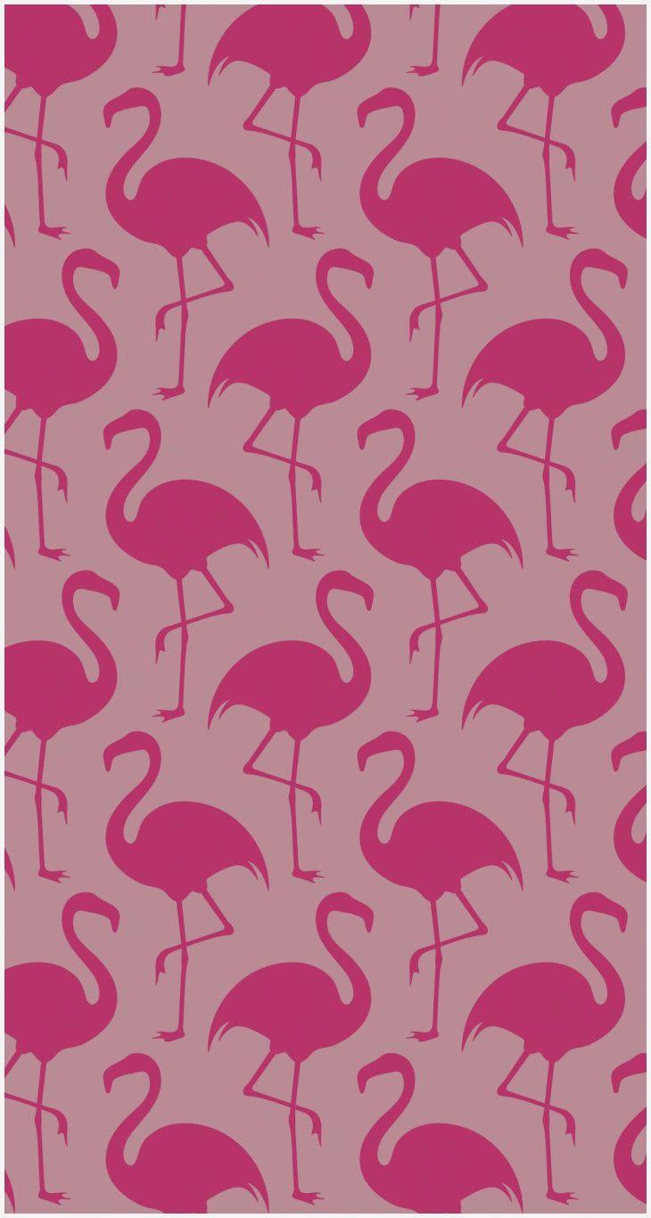 Pink Flamingos Bird is the Word Awesome Pink On Pink Flamingos