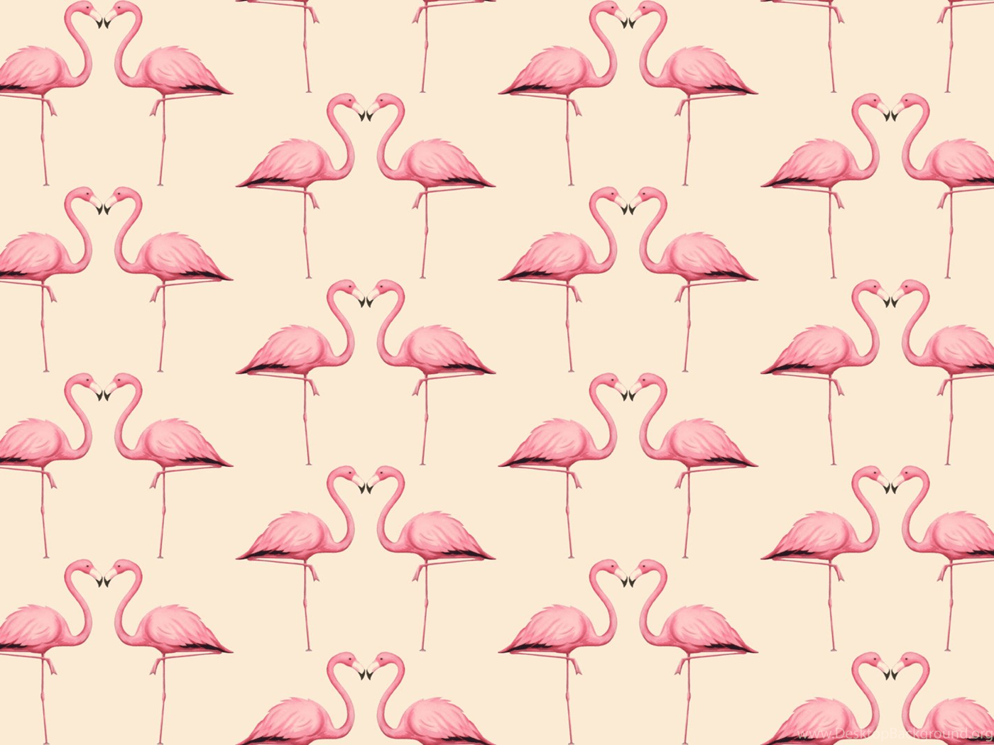 Flamingo In Peach And Pink Wallpaper Trinetollefsen Spoonflower