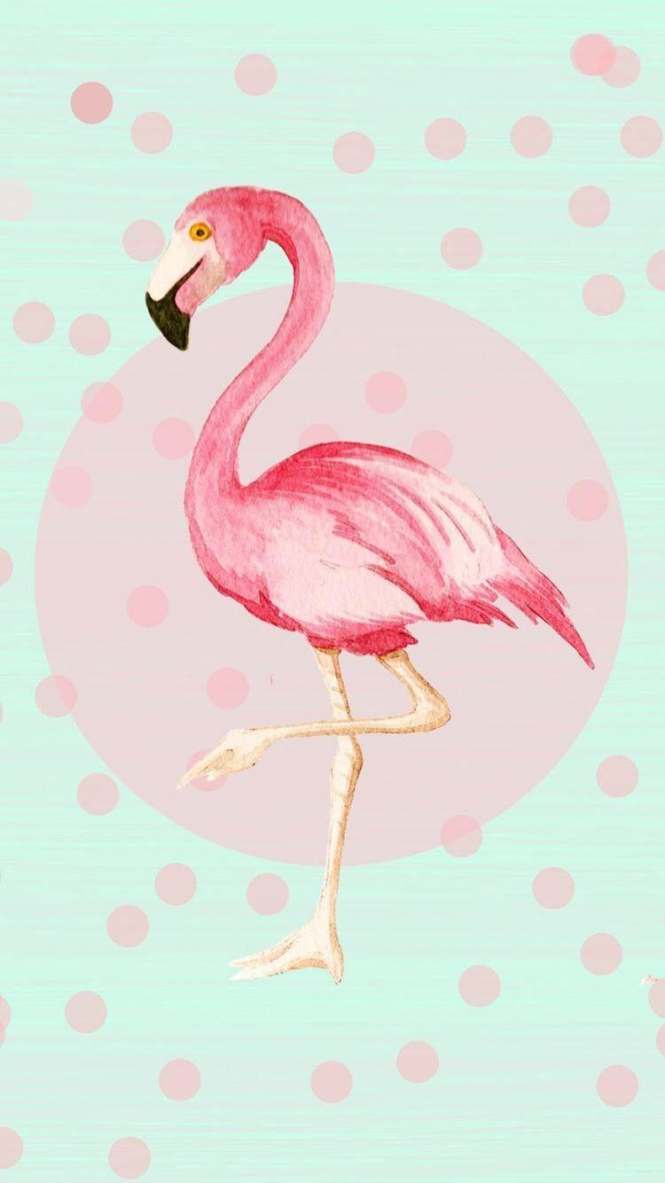 Background. Flamingo, iPhone