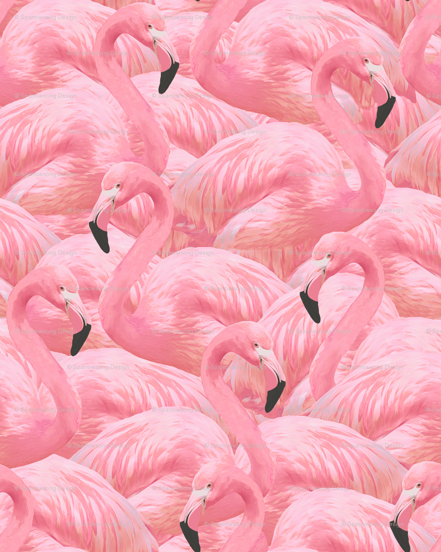 Flamingo Fever in Pink wallpaper