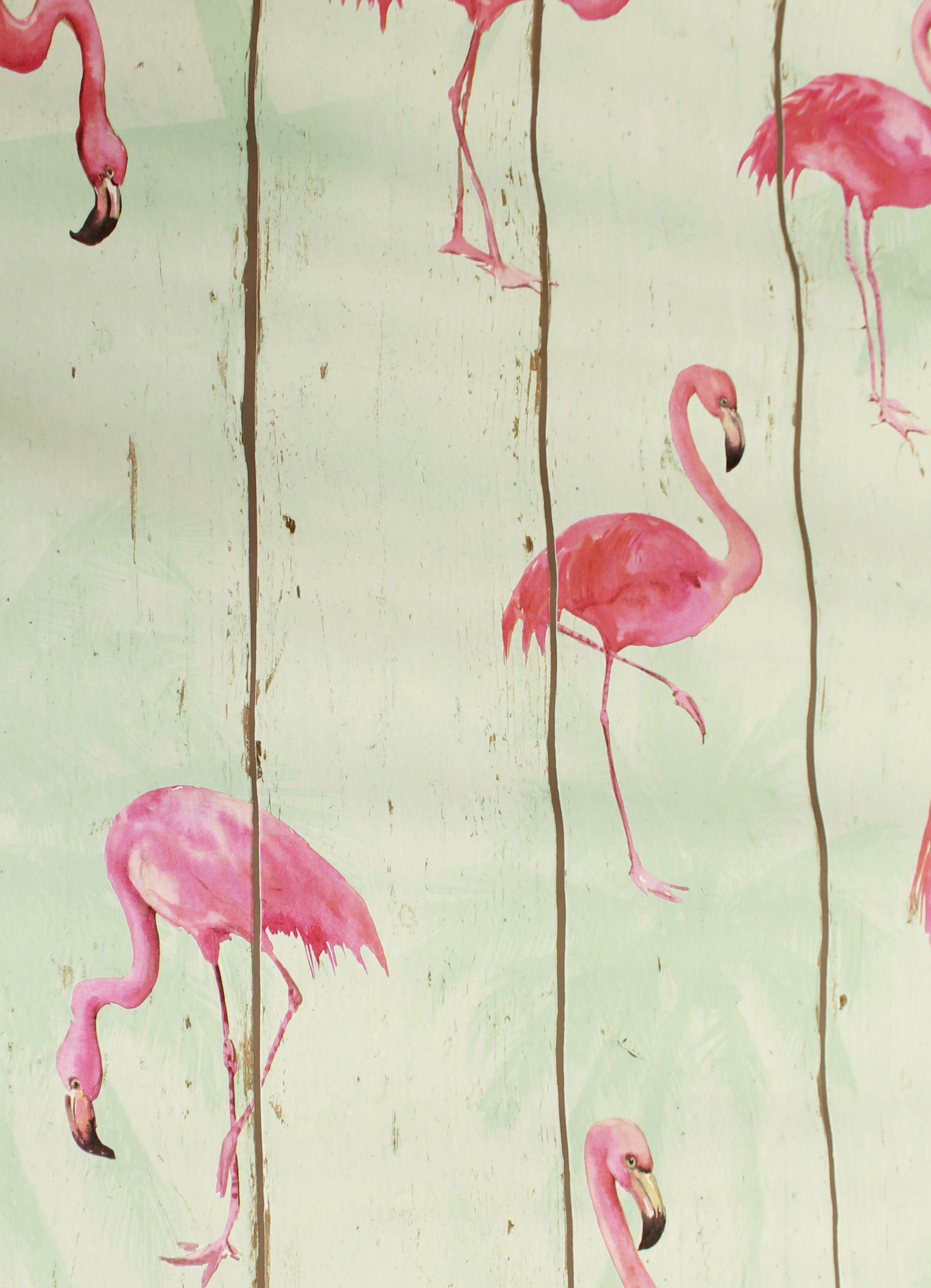 Pink Flamingos birds wallpaper