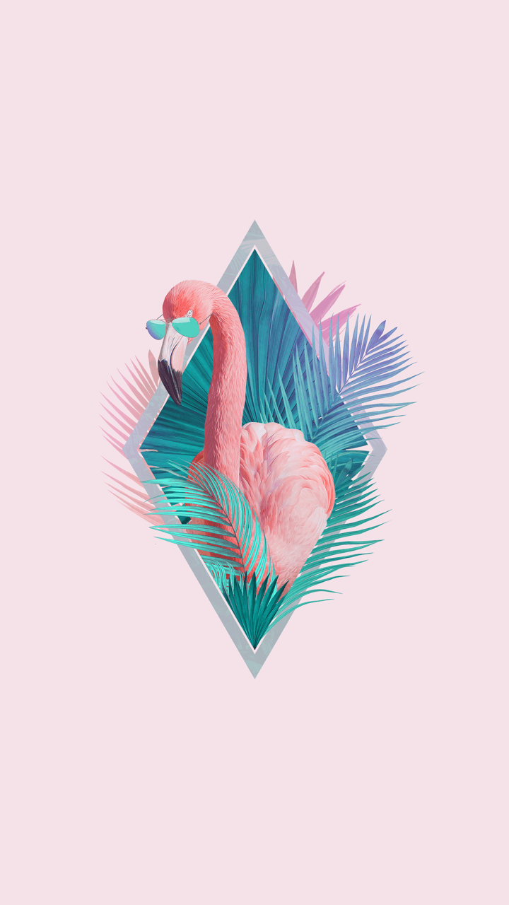 pink flamingo wallpaper for phone