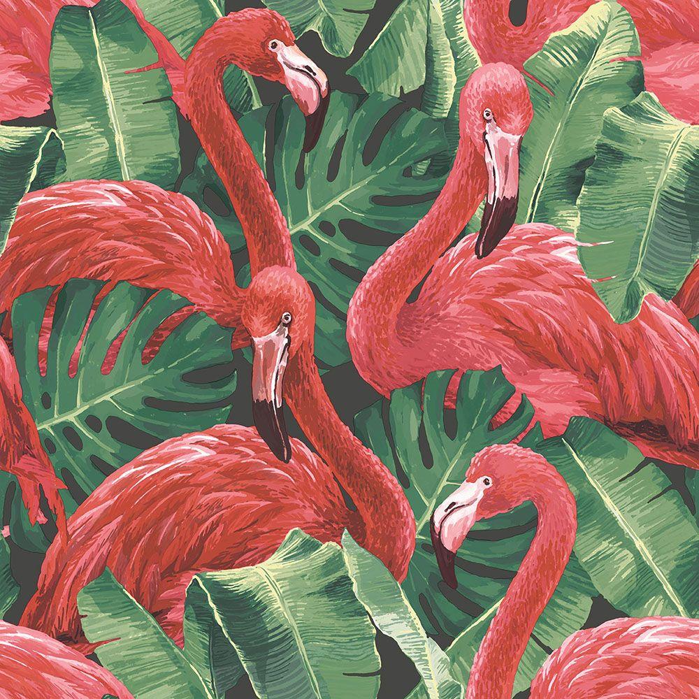 Flamingo by Galerie / Green / Black, Wallpaper Direct
