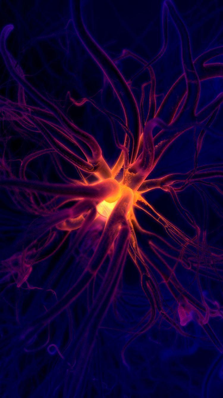 Neuron. Smartphone Wallpaper. Addiction, Addiction recovery, Porn