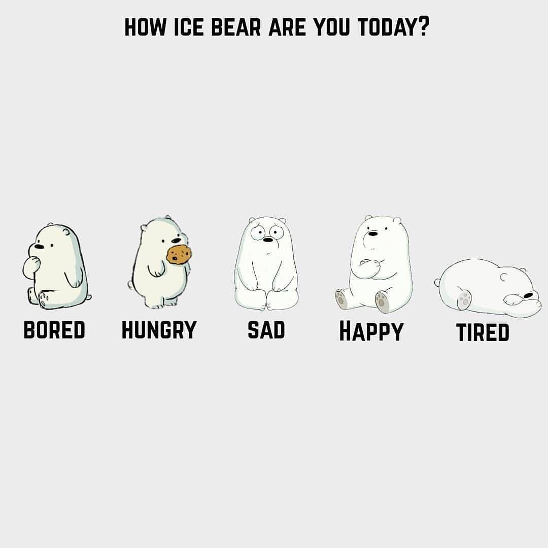 Ice Bear We Bare Bears Wallpapers  Wallpaper Cave