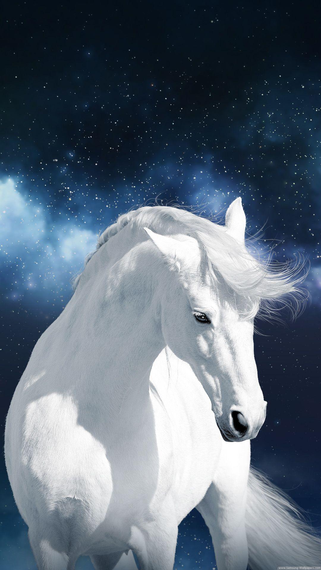 White Horse Stock 1080x1920 Samsung Galaxy S5 Wallpaper HD_Samsung