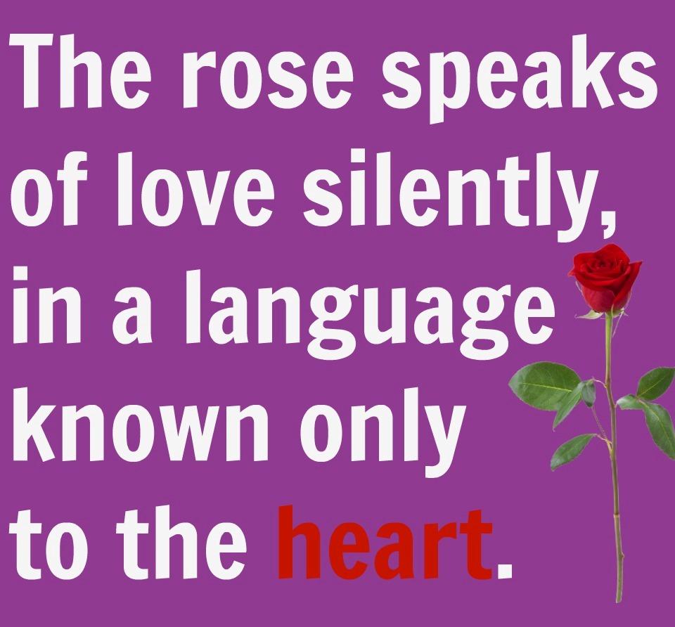 Happy Rose Day 2019 Quotes, Wishes & Poems