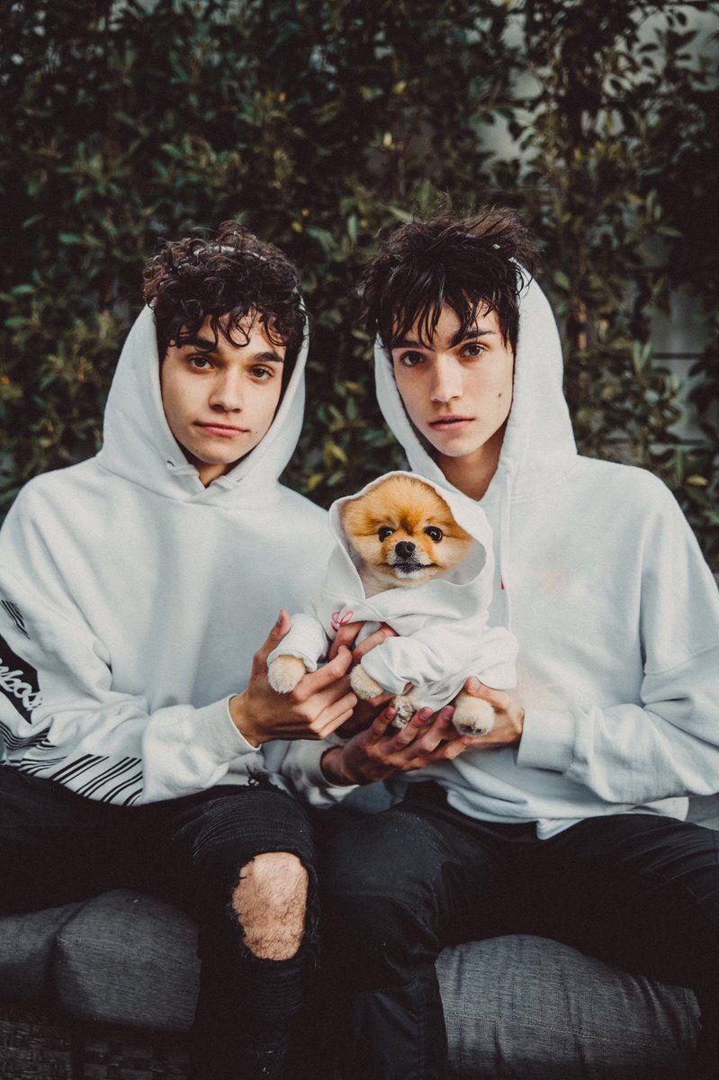 Embedded image. Twins. Marcus, lucas, Twins, Lucas dobre