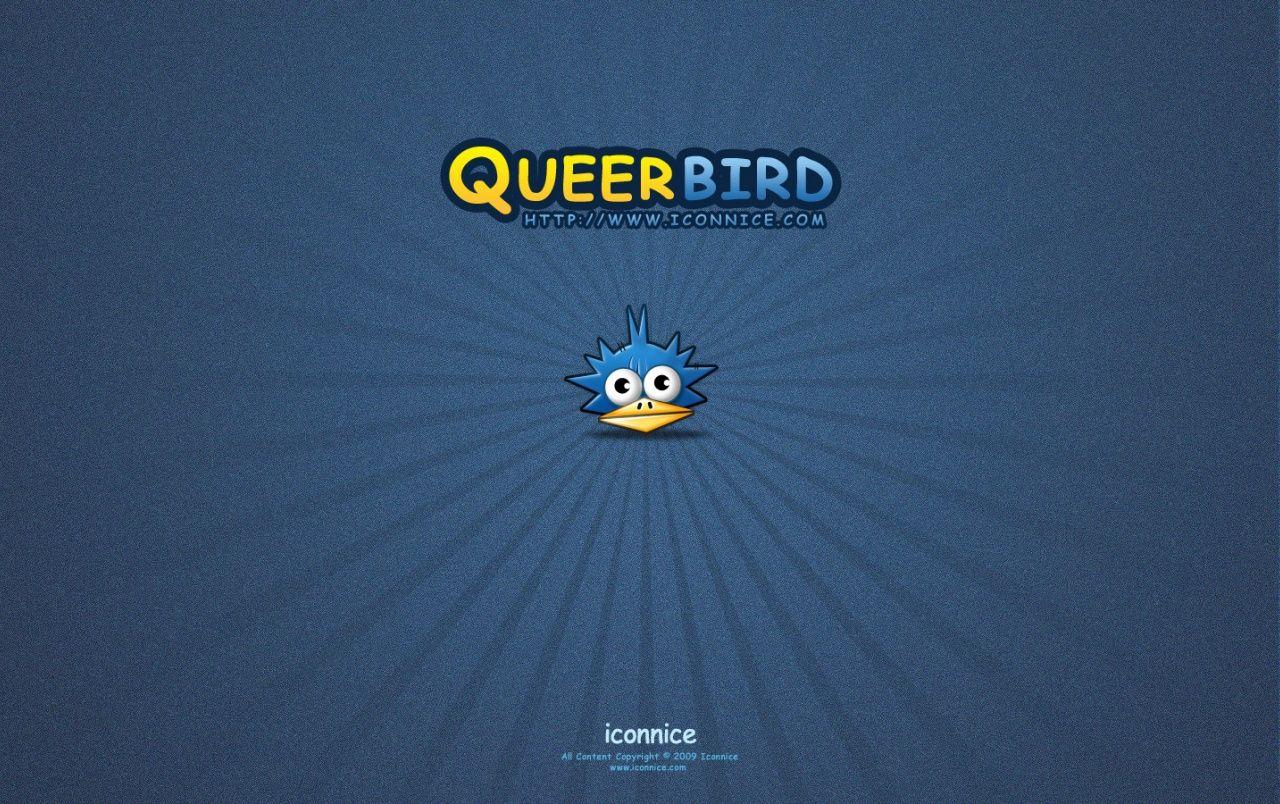 queer bird wallpaper. queer bird