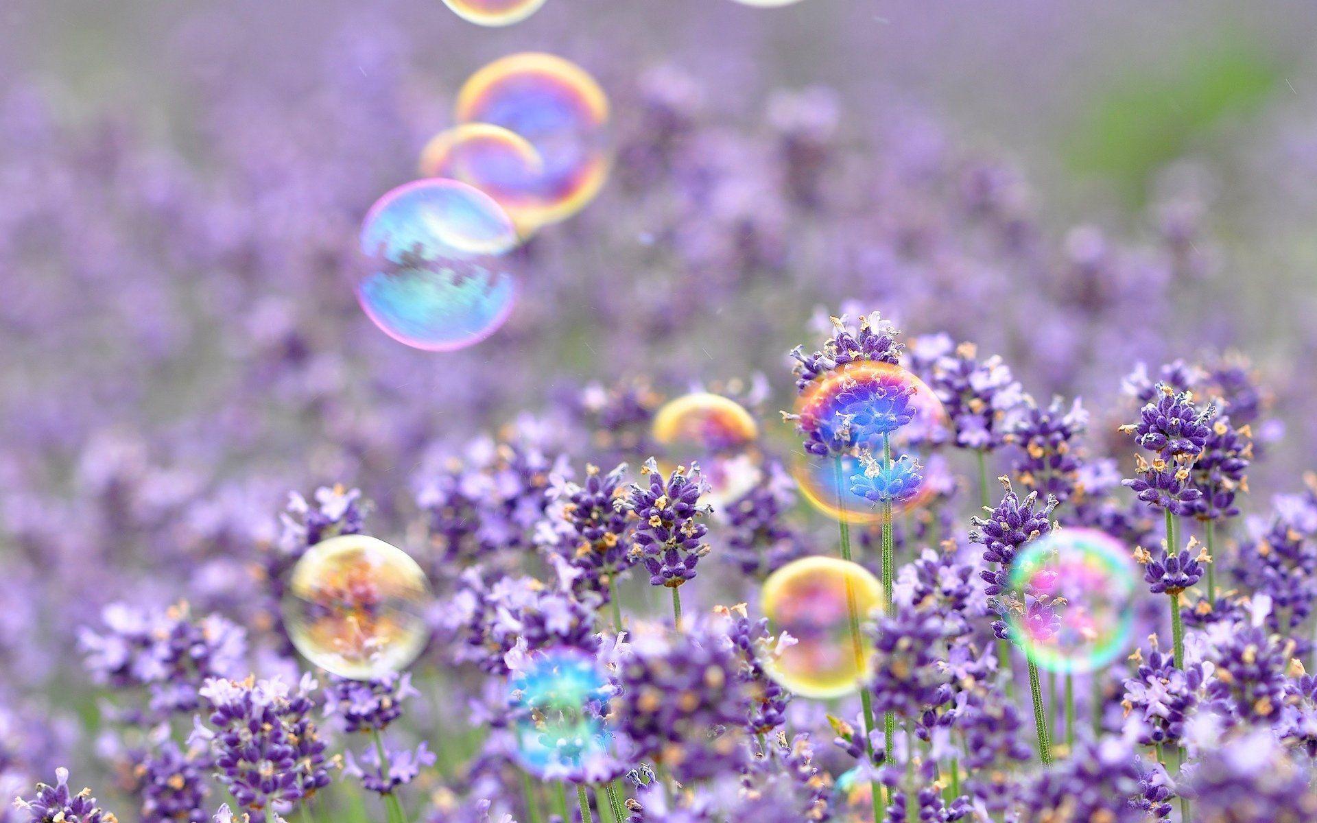 mood bubbles flower flowers purple background wallpaper widescreen