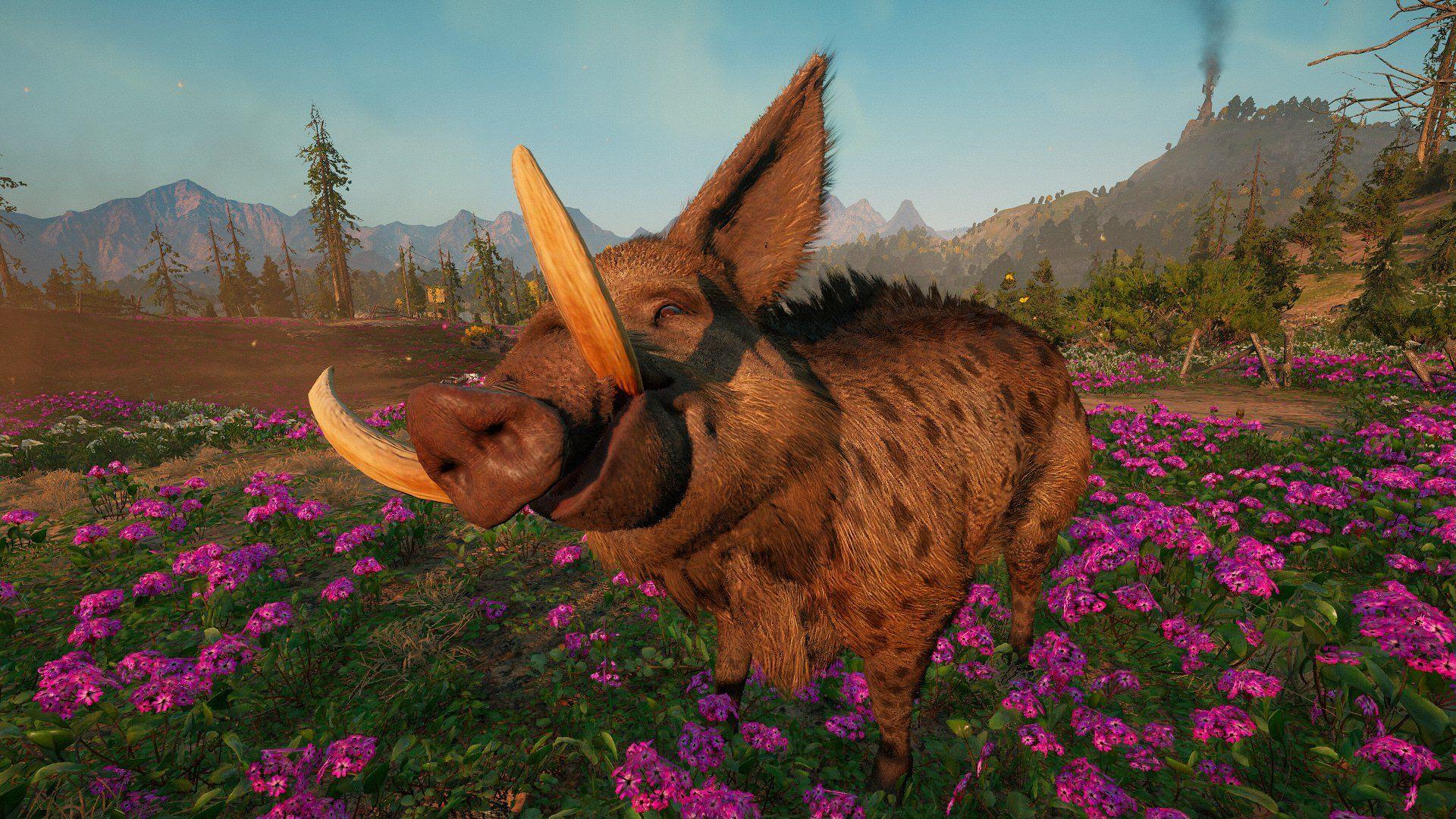 11 reasons to immediately upgrade your giant pig in Far Cry New Dawn
