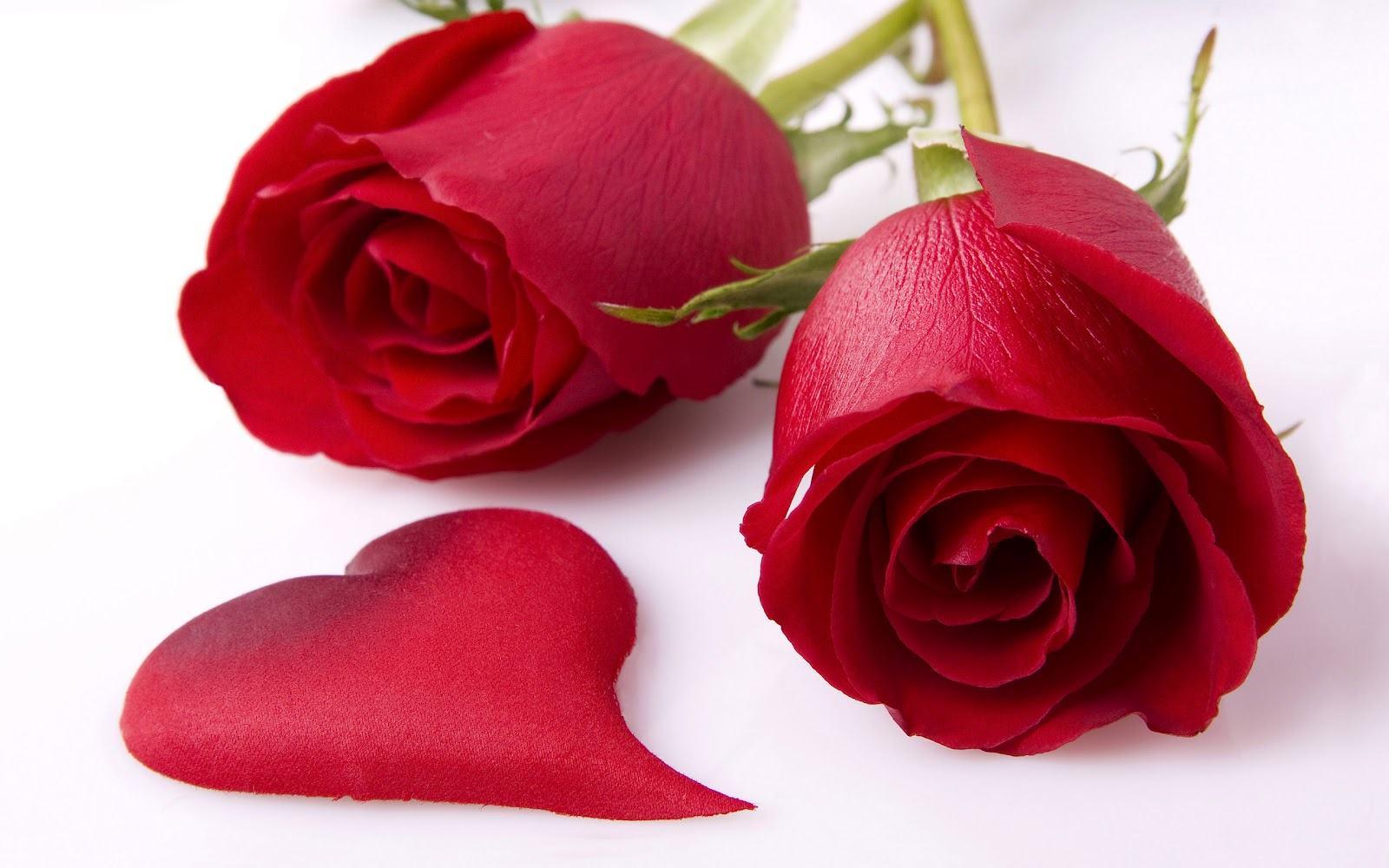 Wallpapers Red Roses Heart - Wallpaper Cave