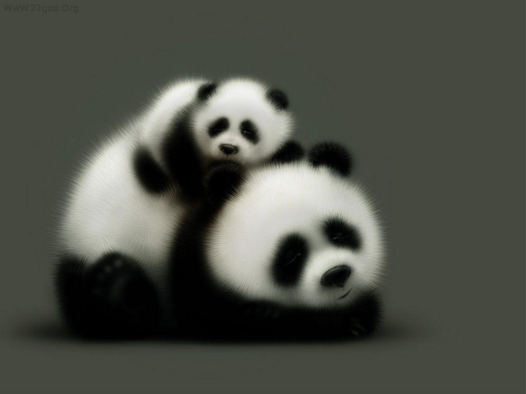 panda cub. panda bear cubs desktop wallpaper download panda bear