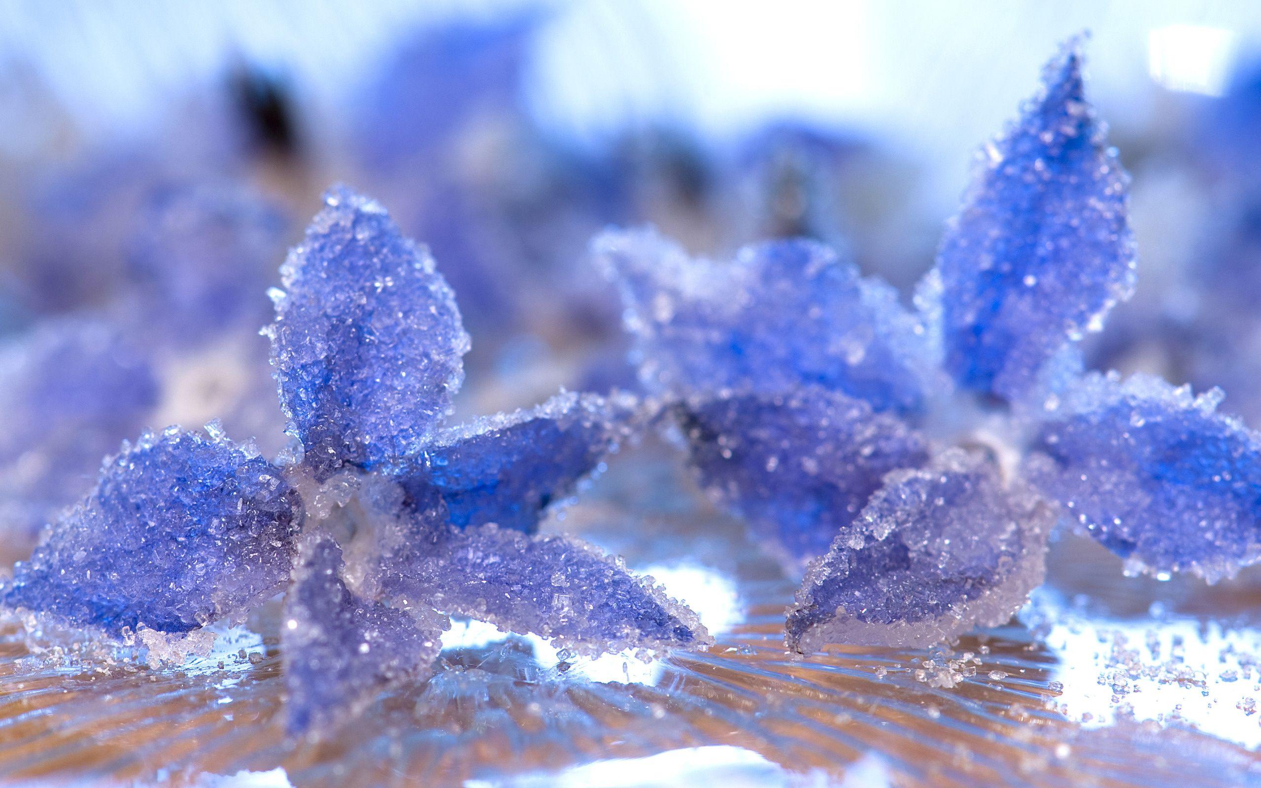 Wallpaper. Macro. crystals, flowers, macro, blue, ice