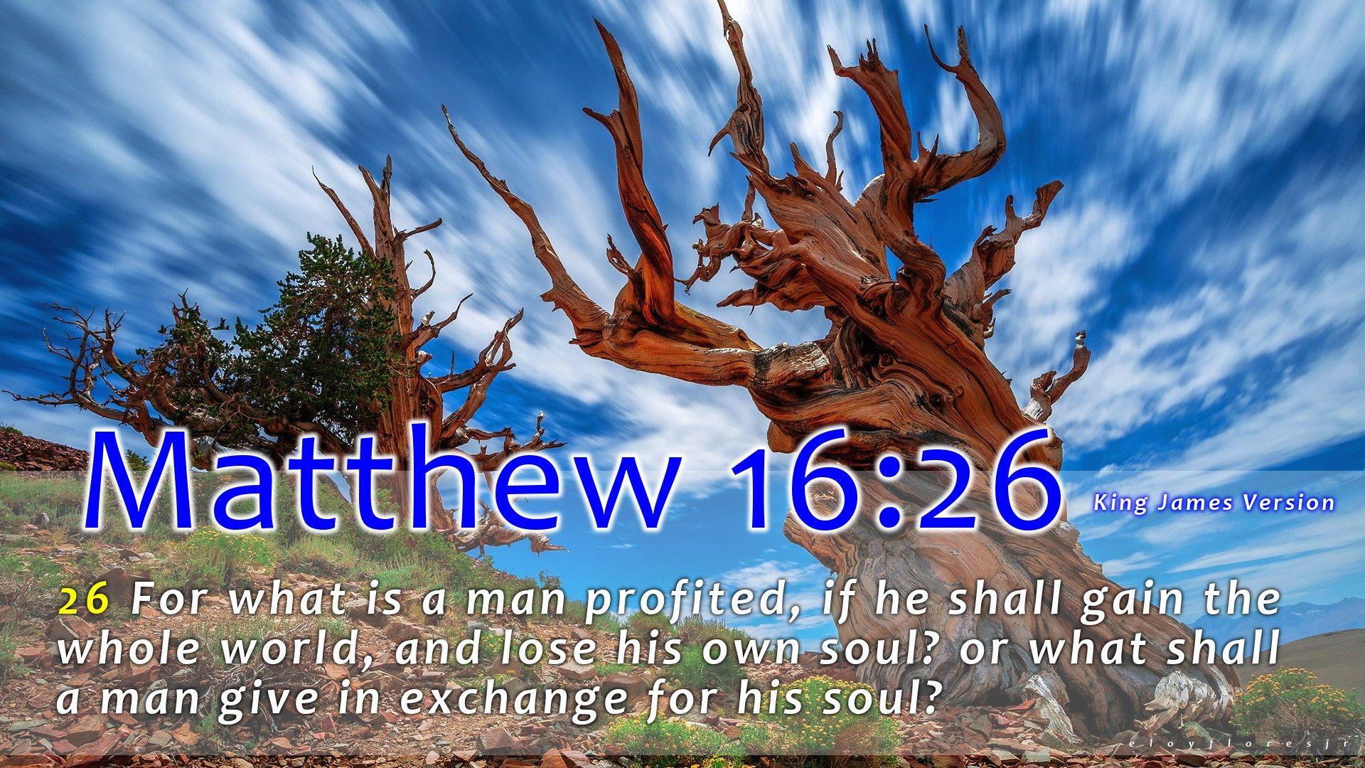 Misc: Bible Quotes Matthew Verse HD Wallpaper for HD 16:9 High