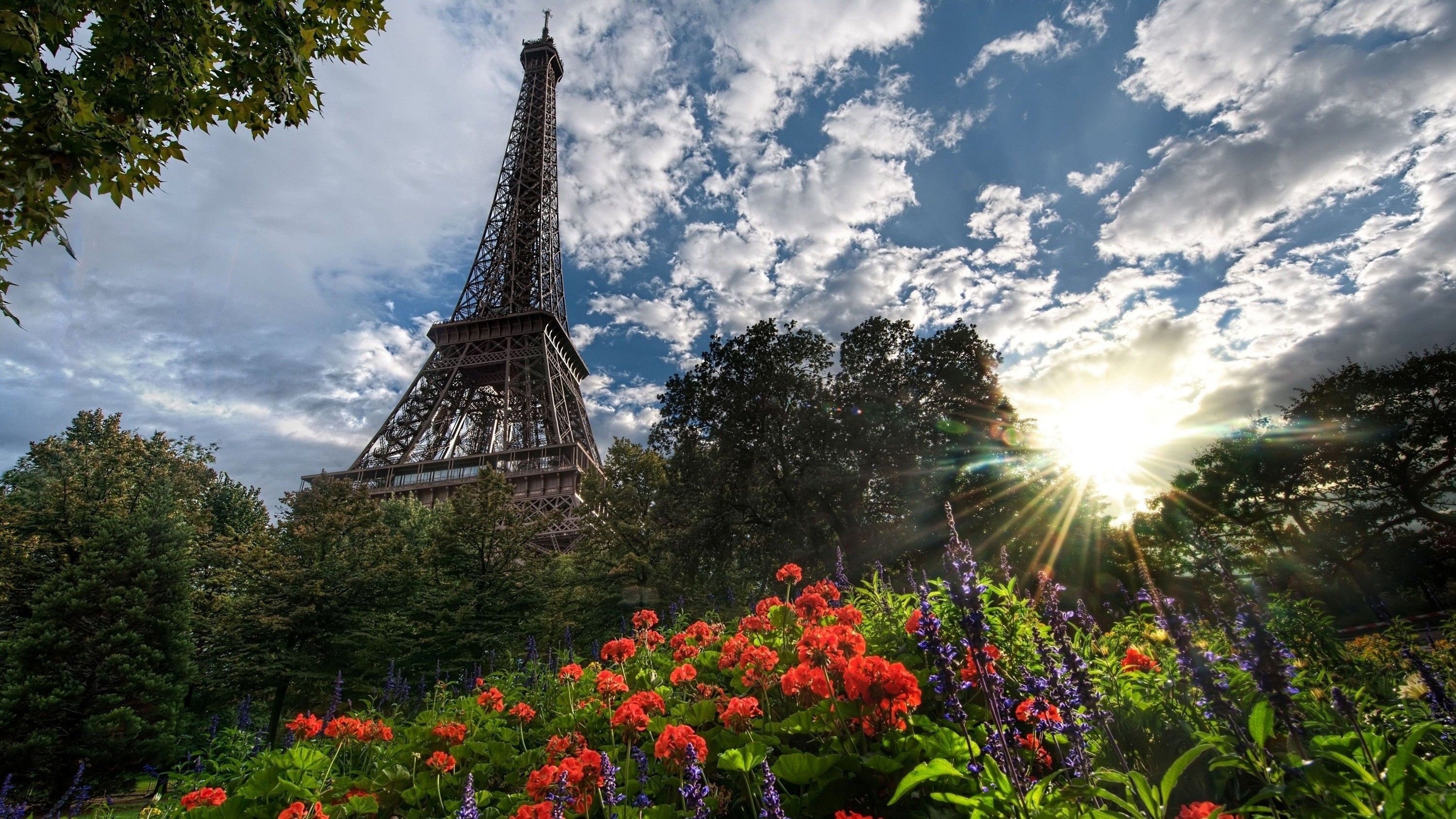 Eiffel Tower HD Wallpaper Image Picture Photo Download