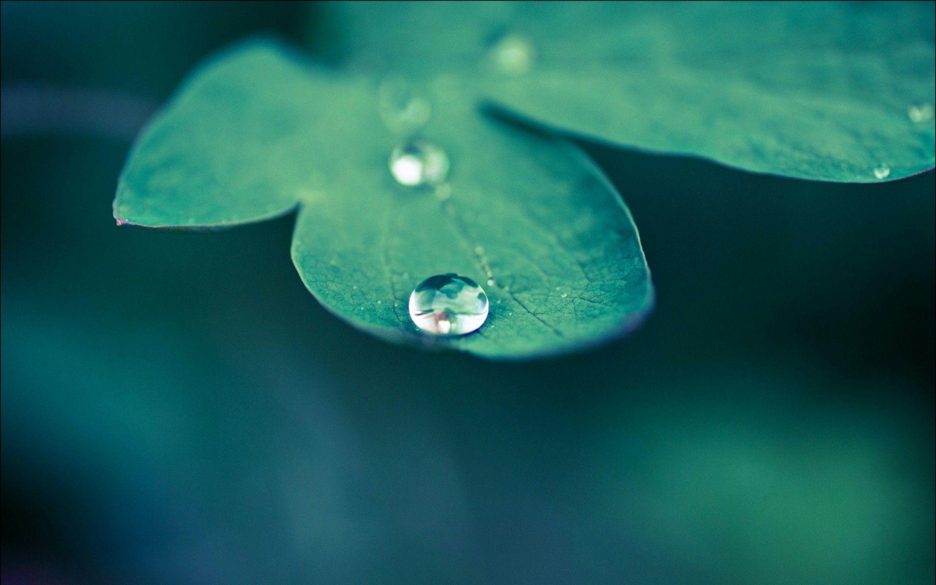 Beautiful Water Drop Photography