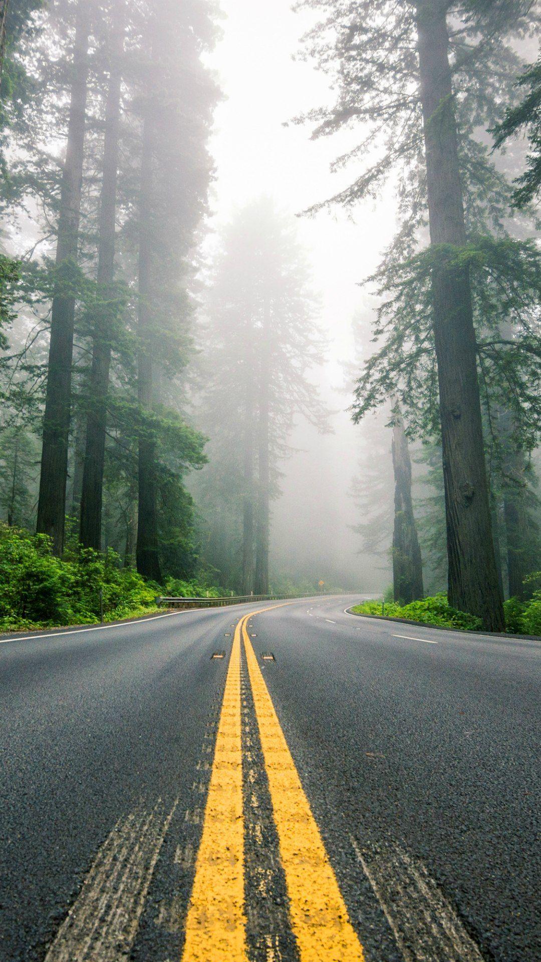 ROAD FOREST FOG 1080X1920. Photography. Wallpaper, Phone