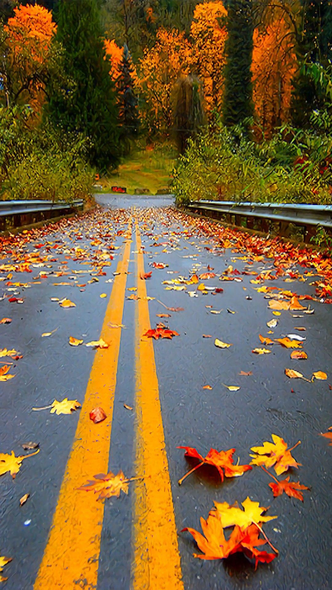 Road Wallpaper - [1080x1920]