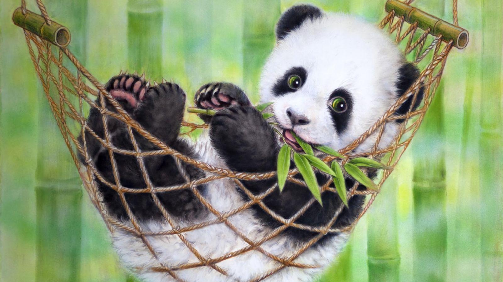 Cute Panda Wallpaper